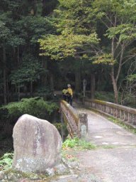 img_0478.jpg